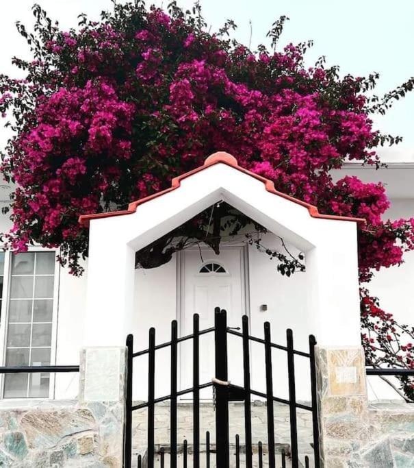 Annika's Summer Dream * Livadia (Tilos)
