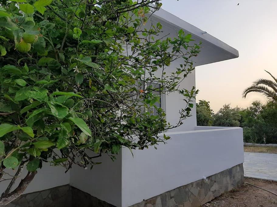 Annika's Summer Dream Villa *
